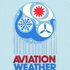 Avatar for Aviation Weather