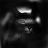 Avatar di Magda669