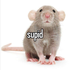 irlmouse 的头像