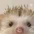 Avatar for SveaSMB