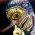 Avatar de SaveUsSanktus