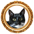 Avatar for slaepwerigne