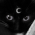 Avatar for witchybvtch