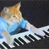 Avatar for Charlie Schmidt's Keyboard Cat!