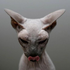 Avatar de baz28