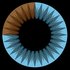 Avatar for 3Blue1Brown