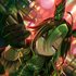 Avatar for ドリームジャーニー (CV. 吉岡茉祐)