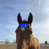 Avatar for janky_j