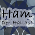 Avatar for hamderhallas