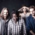Ben Dey and the Concrete Lions 的头像