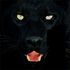 Avatar for Pantheer