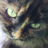 Avatar for saaamara