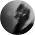 Avatar for trikata