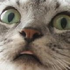 Avatar for ConcentricJazz