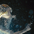 Avatar di soloxcx