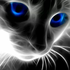 Avatar for Chaos_Kitty