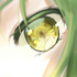 Avatar for riy6d