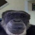 Avatar di poopyass3