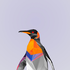 Avatar for TandasBagus