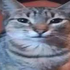 Avatar de LaiKaTT