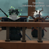 Avatar for singleseals