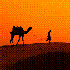 Avatar for Shifting_Sand