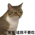 Avatar di adlayyard