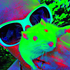 RatPosse için avatar