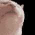 Avatar for riqueht