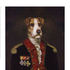 Avatar für rufusgrantham