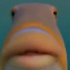 Avatar for NotGormi