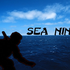 Avatar for Sea_ninja