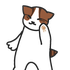 Avatar for katgirluwu