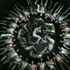Avatar for cpuyfhgf