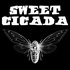 Avatar för Sweet Cicada