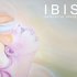 Ibis Music 的头像