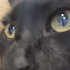 Avatar for jeffreysdemise