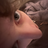 Avatar for nozey5