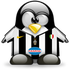 Pingwinho için avatar