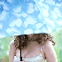 Avatar for bellynhah
