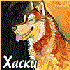 Avatar for redhaski