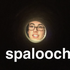 nspallucci için avatar