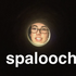 Avatar di nspallucci
