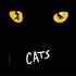 Cats Cast 的头像