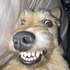 Avatar für gumigumi1r