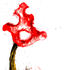 Splacid 的头像