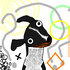 Avatar for rolling112