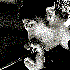 Avatar for Code 64