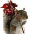 Avatar for Squirrel_hobo
