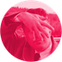 Avatar de pink_jjs